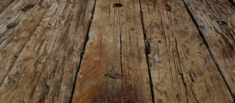 Wood Rot: The Difference Between Dry Rot and Wet Rot