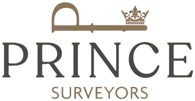 cropped Prince Surveyors Logo V2.png